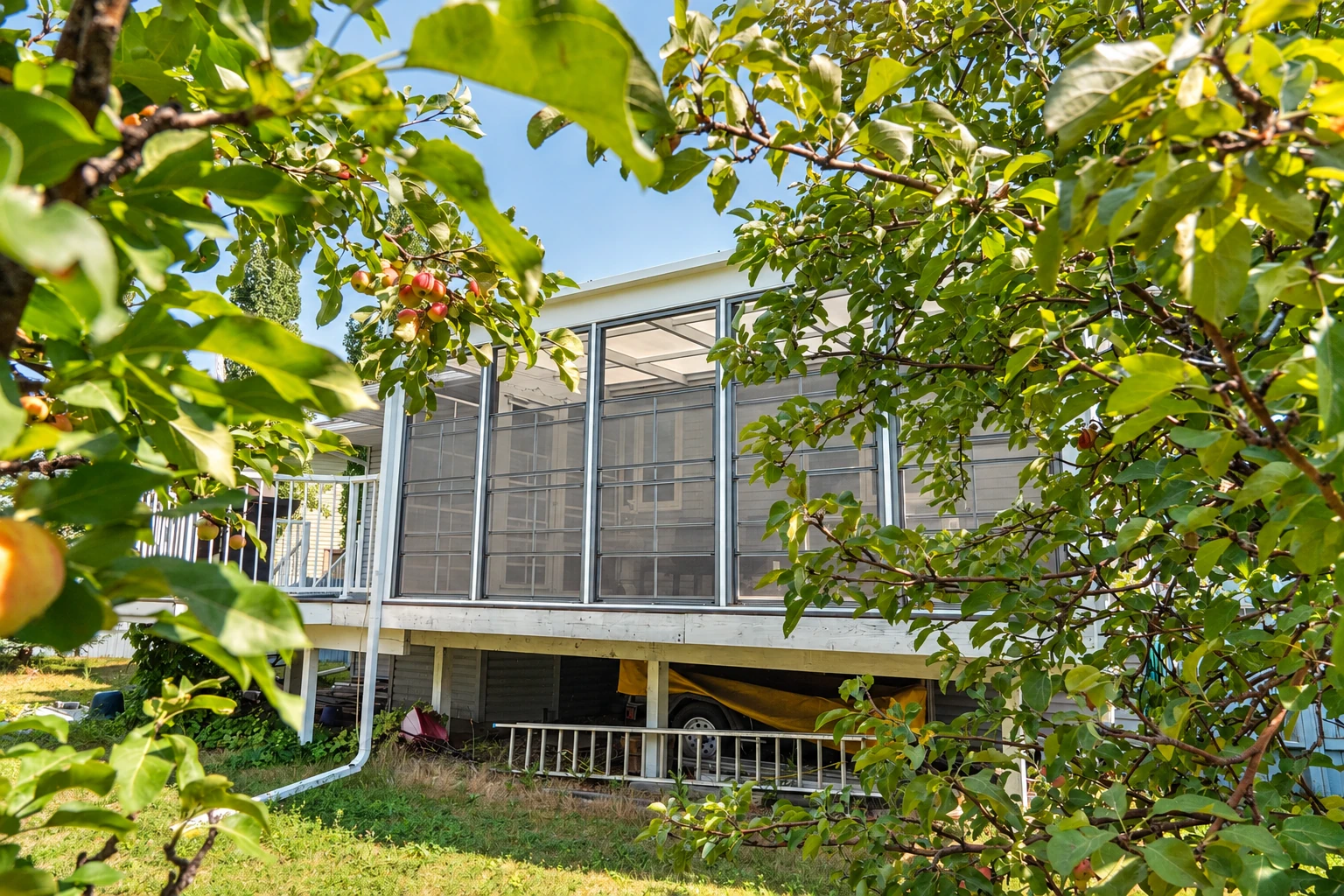 Raised three-season sunroom with screened windows is partly framed by leafy branches and fruit.